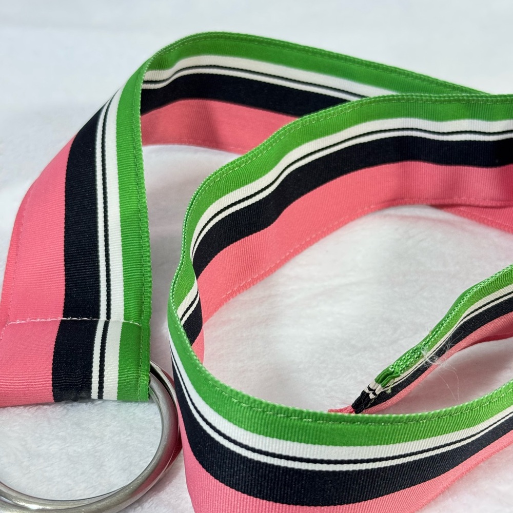J. Crew Vibrant Preppy Pink Green Blue and White Striped Belt with Silver Rings - Picture 5 of 13